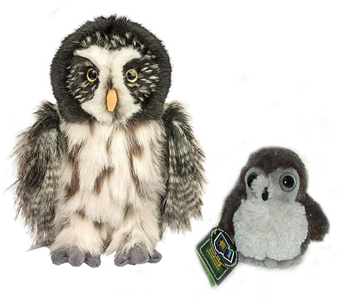 grey_owls