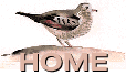 aviary_home_icon