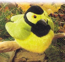 plush_hooded_warbler