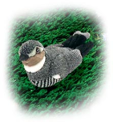 plush_nighthawk