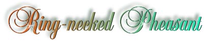 pheasant_title