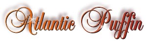 atlantic_puffin_title