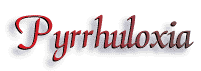 Pyrrhuloxia_title