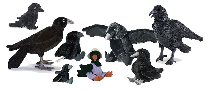 ravens