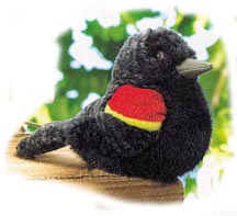 plush_red_winged_blackbird