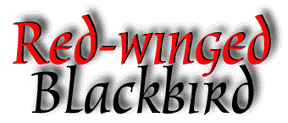 red_winged_title