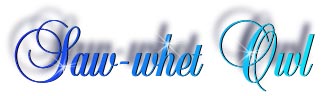 saw_whet_title