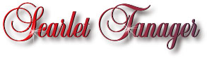scarlet_tanager