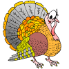 animated_turkey