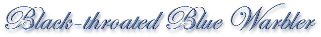 blue_warbler_title