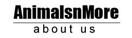 about_us_banner