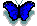 animated_butterfly