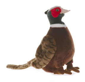 cabincritters_pheasant