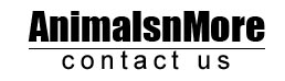 contact_us_banner