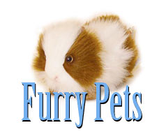 furry_pets_title