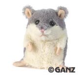 ganz_grey_hamster