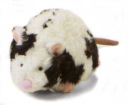 manhattan_hamster