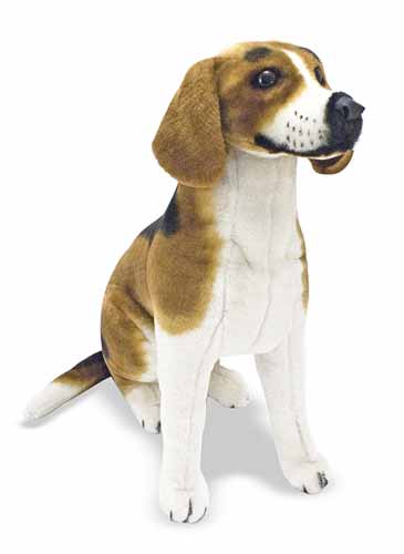 md_beagle
