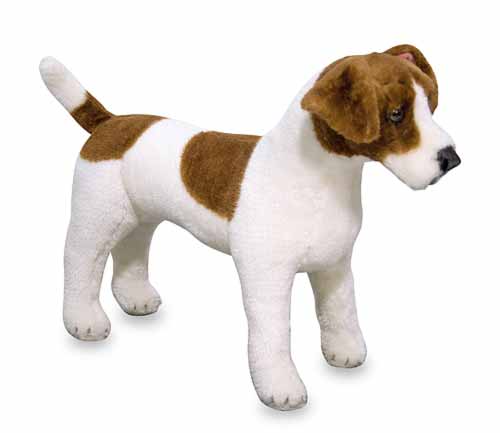 md_jackrussellterrier
