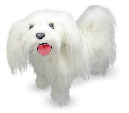 md_maltese