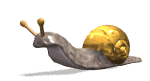 animated_snail
