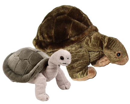 tortoise_stuffed_animal