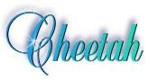 cheetah_title