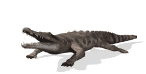 animated_alligator