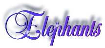 elephants_title