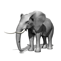 animated_elephants