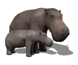 animated_hippo