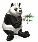 animated panda