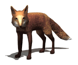 animated_fox