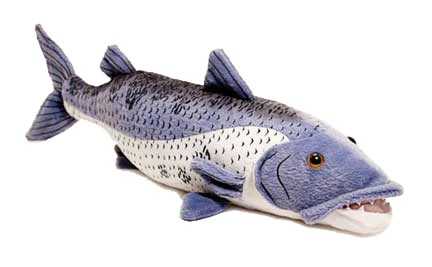 barracuda plush toy