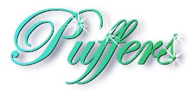 puffer_fish_title