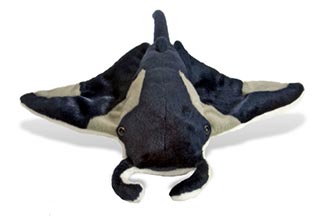 manta ray