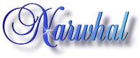 narwhal_title