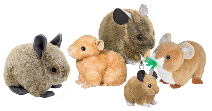 pikas
