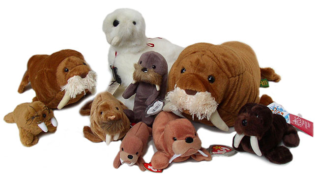 walrus