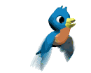 animated butterfly