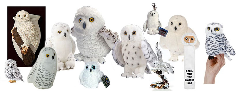 snowy_owl