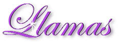 llama title