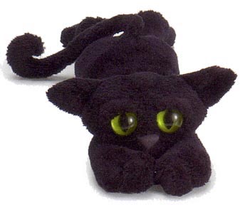 ziggie_lanky_cat