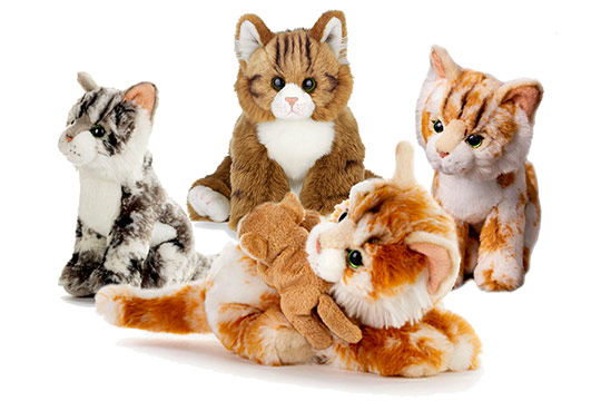 maine_coons