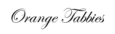 orange_tabbies_title