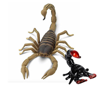 scorpion