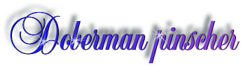 doberman_title