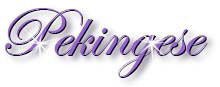 pekingese_title