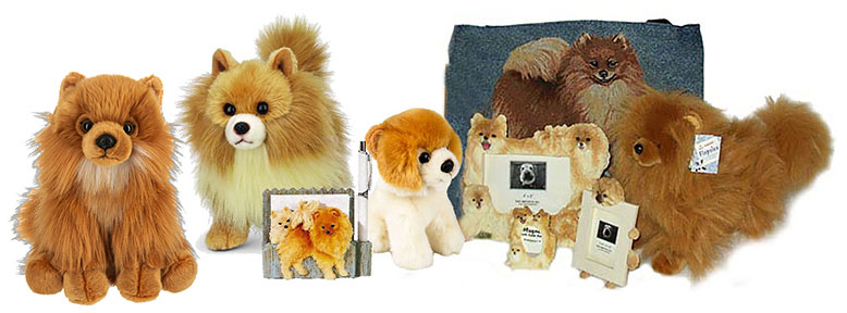 pomeranians