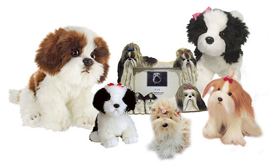 shih-tzus